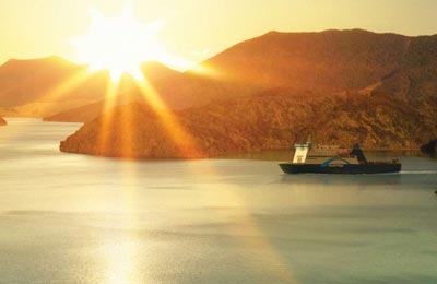Compara?i ?i rezerva?i biletele Bluebridge pentru Wellington ?i Picton cu AFerry!